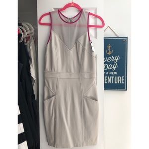 NWT Express dress